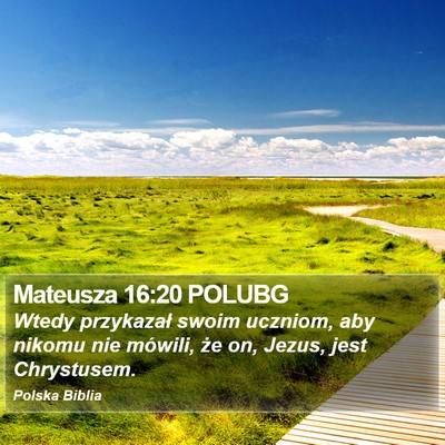 Mateusza 16:20 POLUBG Bible Verse Image
