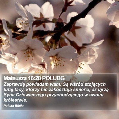 Mateusza 16:28 POLUBG Bible Verse Image