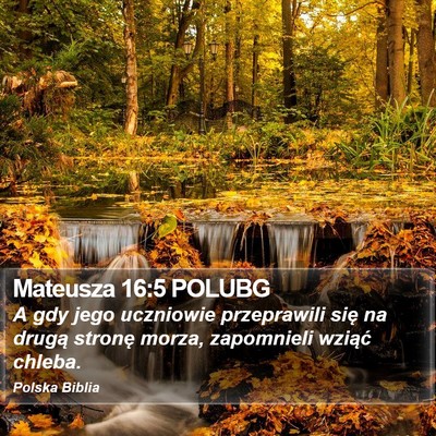 Mateusza 16:5 POLUBG Bible Verse Image