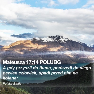 Mateusza 17:14 POLUBG Bible Verse Image