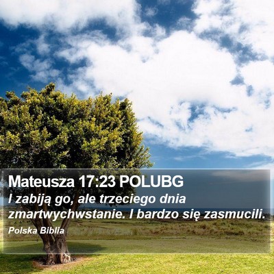 Mateusza 17:23 POLUBG Bible Verse Image