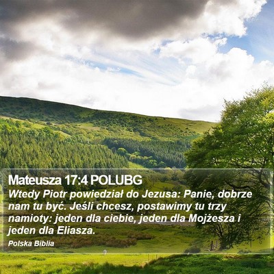 Mateusza 17:4 POLUBG Bible Verse Image