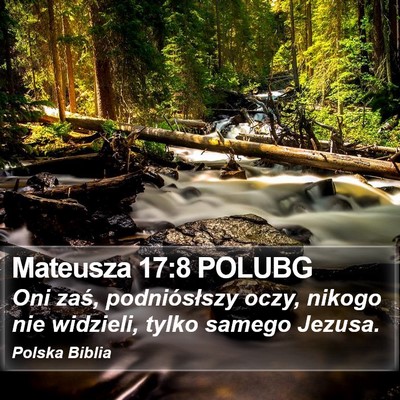 Mateusza 17:8 POLUBG Bible Verse Image