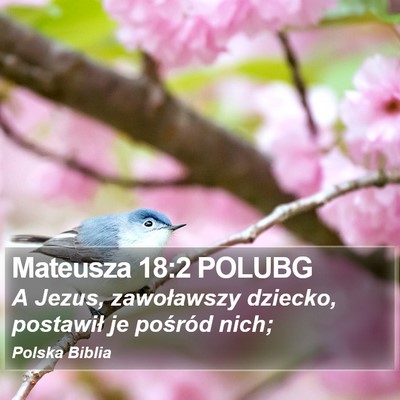 Mateusza 18:2 POLUBG Bible Verse Image