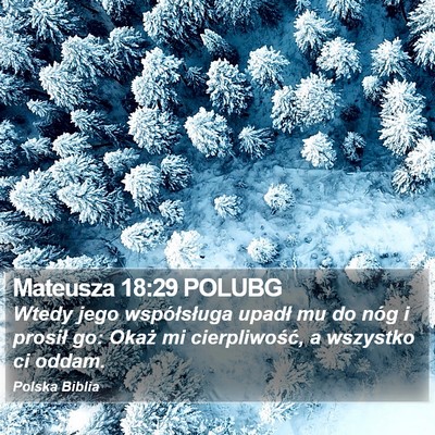 Mateusza 18:29 POLUBG Bible Verse Image