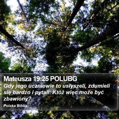 Mateusza 19:25 POLUBG Bible Verse Image