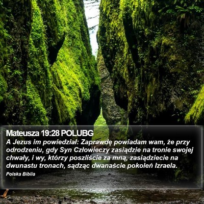 Mateusza 19:28 POLUBG Bible Verse Image