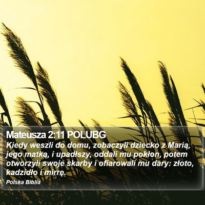 Mateusza 2:11 POLUBG Bible Verse Image