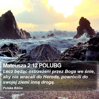 Mateusza 2:12 POLUBG Bible Verse Image