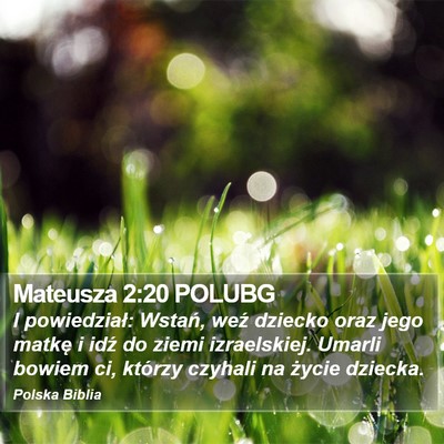 Mateusza 2:20 POLUBG Bible Verse Image