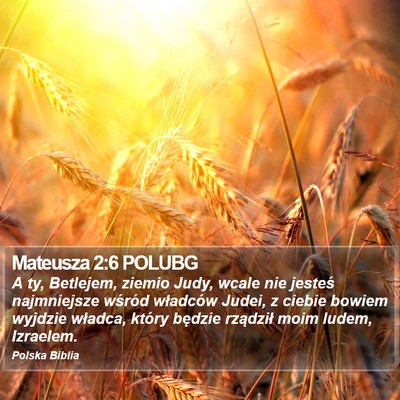 Mateusza 2:6 POLUBG Bible Verse Image