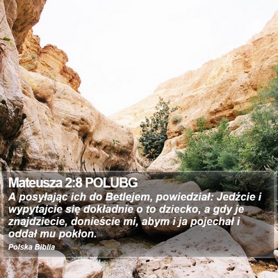 Mateusza 2:8 POLUBG Bible Verse Image