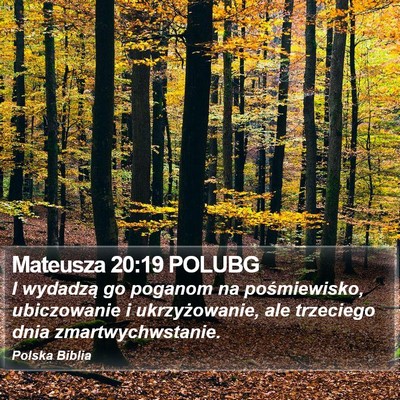 Mateusza 20:19 POLUBG Bible Verse Image