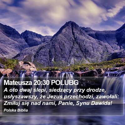Mateusza 20:30 POLUBG Bible Verse Image