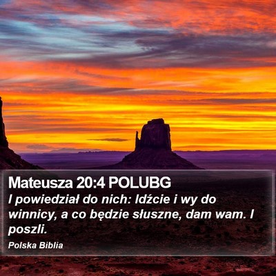 Mateusza 20:4 POLUBG Bible Verse Image