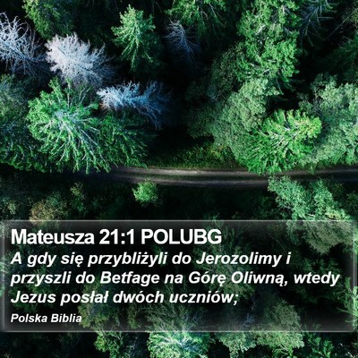 Mateusza 21:1 POLUBG Bible Verse Image