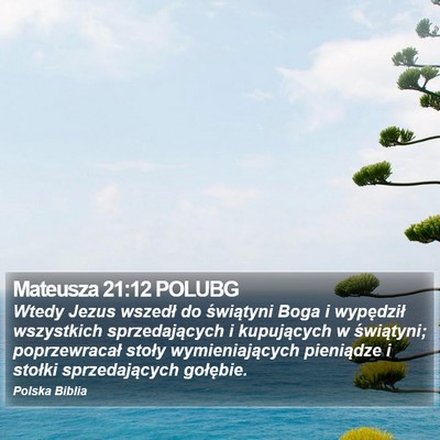 Mateusza 21:12 POLUBG Bible Verse Image