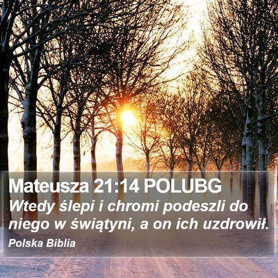 Mateusza 21:14 POLUBG Bible Verse Image