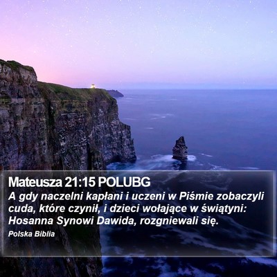 Mateusza 21:15 POLUBG Bible Verse Image
