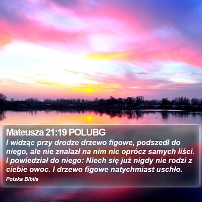 Mateusza 21:19 POLUBG Bible Verse Image