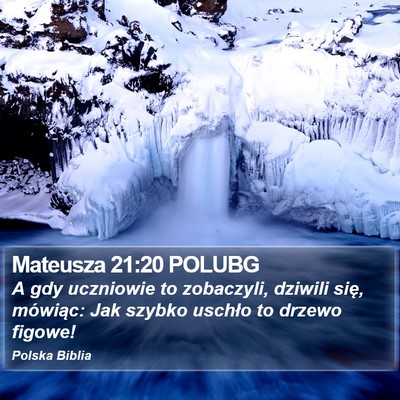 Mateusza 21:20 POLUBG Bible Verse Image