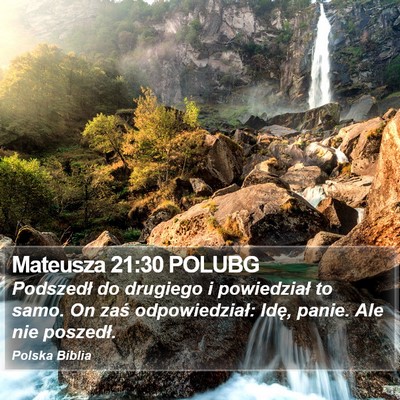 Mateusza 21:30 POLUBG Bible Verse Image