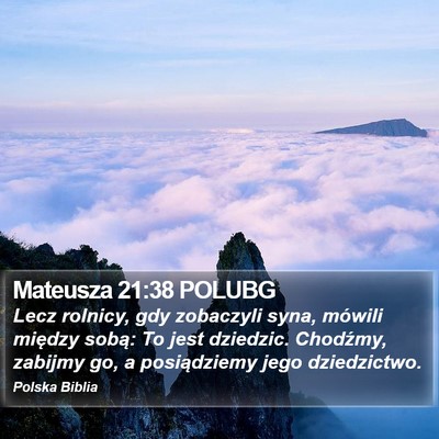 Mateusza 21:38 POLUBG Bible Verse Image