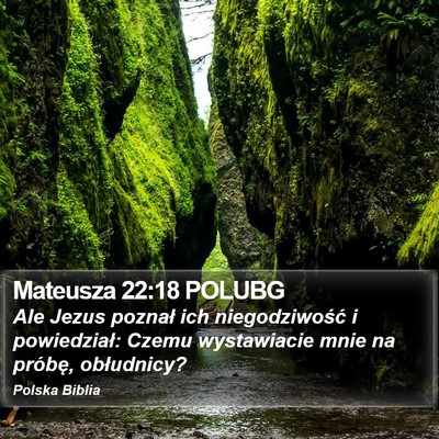 Mateusza 22:18 POLUBG Bible Verse Image