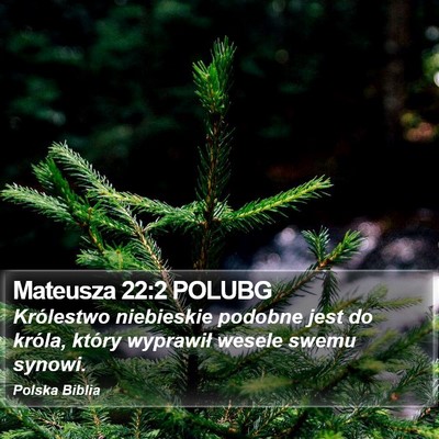 Mateusza 22:2 POLUBG Bible Verse Image