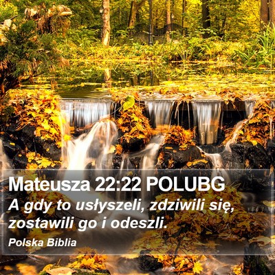 Mateusza 22:22 POLUBG Bible Verse Image
