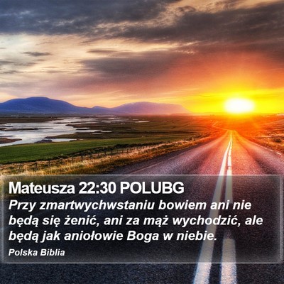 Mateusza 22:30 POLUBG Bible Verse Image