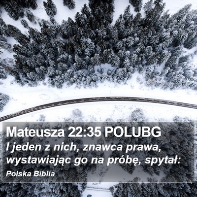 Mateusza 22:35 POLUBG Bible Verse Image
