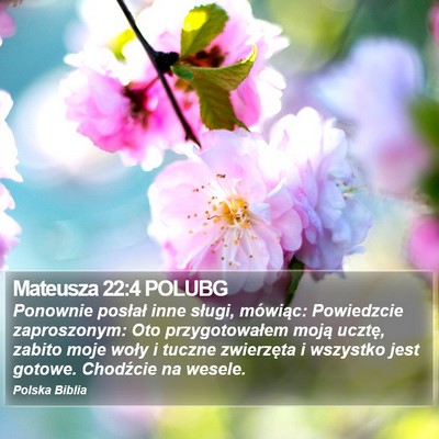 Mateusza 22:4 POLUBG Bible Verse Image