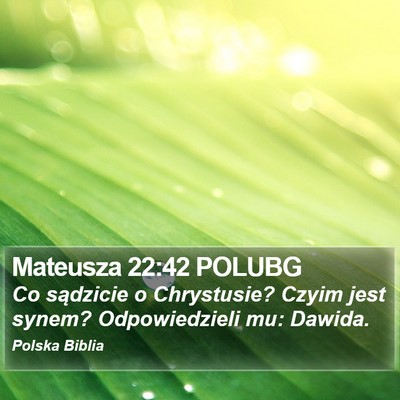 Mateusza 22:42 POLUBG Bible Verse Image