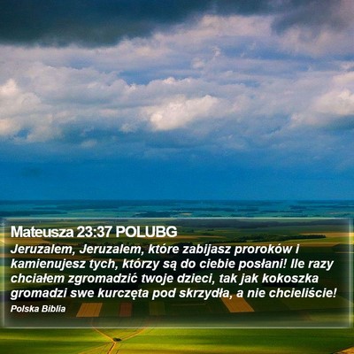 Mateusza 23:37 POLUBG Bible Verse Image