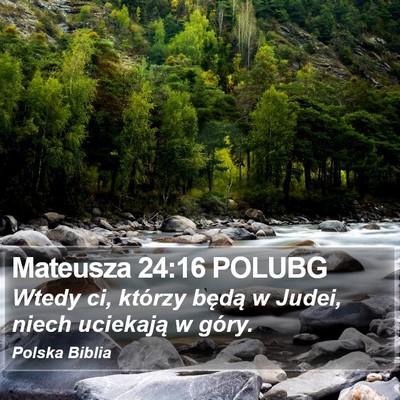 Mateusza 24:16 POLUBG Bible Verse Image
