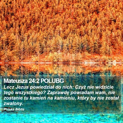 Mateusza 24:2 POLUBG Bible Verse Image