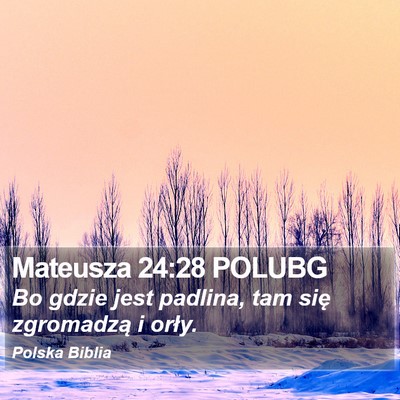 Mateusza 24:28 POLUBG Bible Verse Image