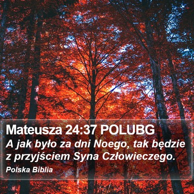 Mateusza 24:37 POLUBG Bible Verse Image