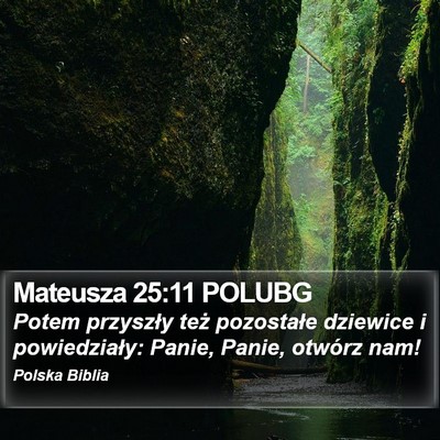 Mateusza 25:11 POLUBG Bible Verse Image