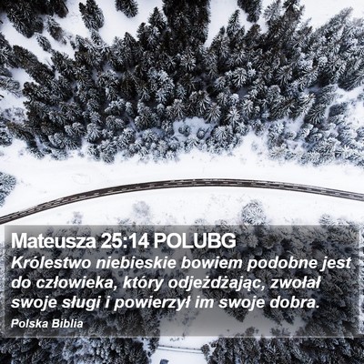 Mateusza 25:14 POLUBG Bible Verse Image