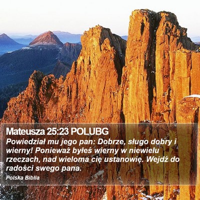 Mateusza 25:23 POLUBG Bible Verse Image