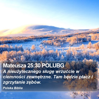 Mateusza 25:30 POLUBG Bible Verse Image