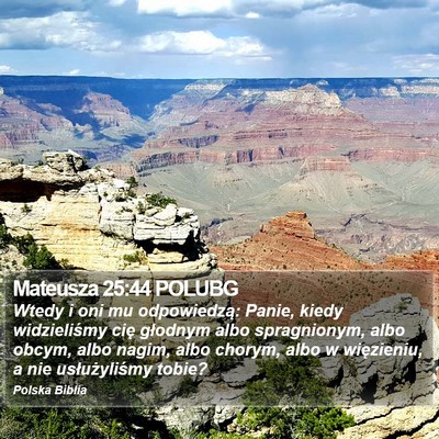 Mateusza 25:44 POLUBG Bible Verse Image