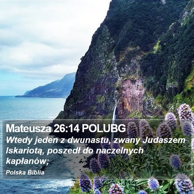 Mateusza 26:14 POLUBG Bible Verse Image