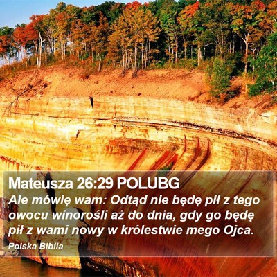 Mateusza 26:29 POLUBG Bible Verse Image