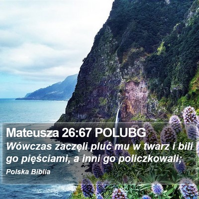 Mateusza 26:67 POLUBG Bible Verse Image