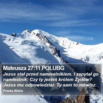 Mateusza 27:11 POLUBG Bible Verse Image