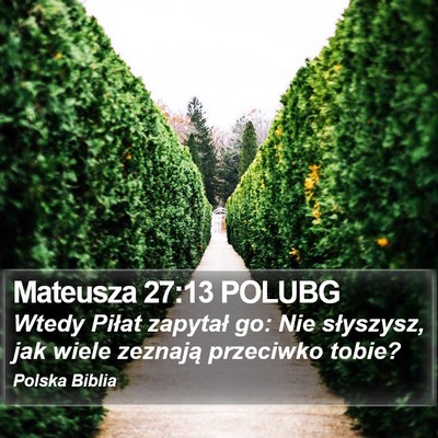 Mateusza 27:13 POLUBG Bible Verse Image