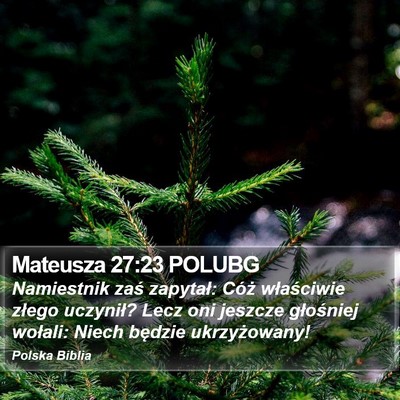 Mateusza 27:23 POLUBG Bible Verse Image